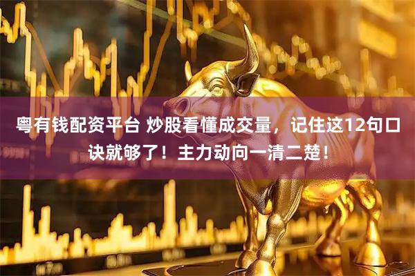 粤有钱配资平台 炒股看懂成交量，记住这12句口诀就够了！主力动向一清二楚！