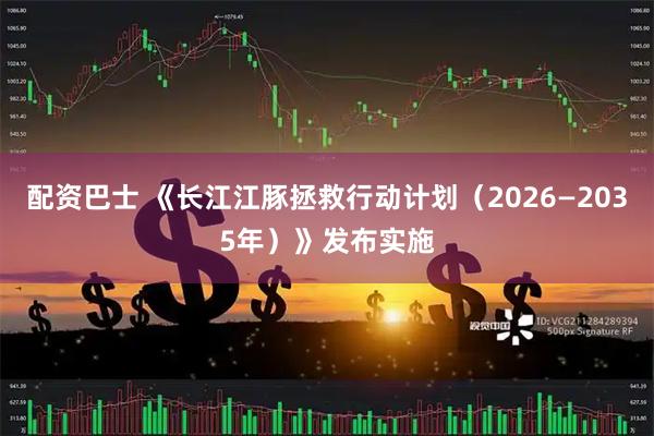 配资巴士 《长江江豚拯救行动计划（2026—2035年）》发布实施