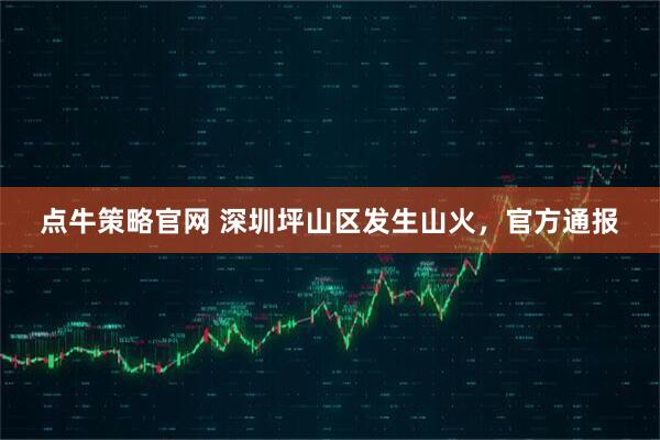 点牛策略官网 深圳坪山区发生山火，官方通报